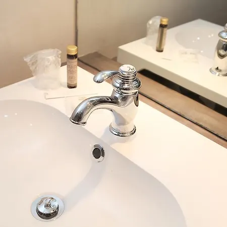 Le Roncevaux Hotel Pau