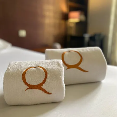 Hotel Le Roncevaux Pau