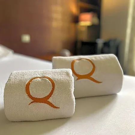 Le Roncevaux Otel Pau